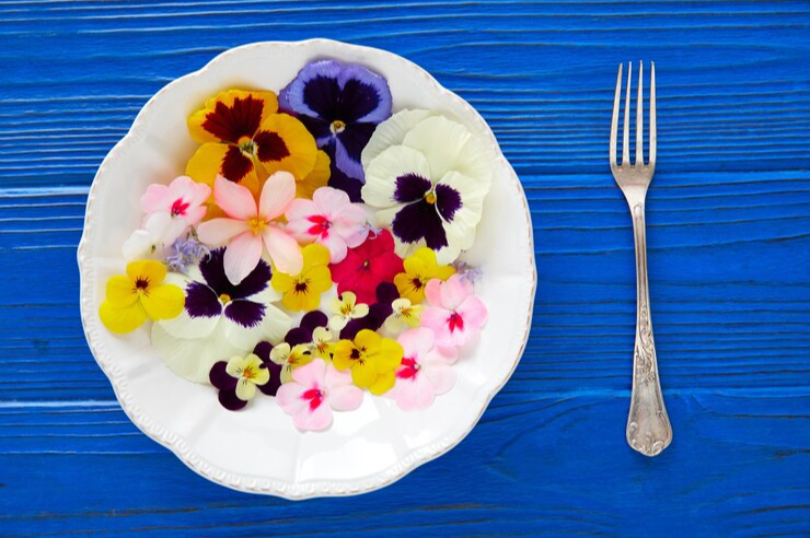 edible flowers